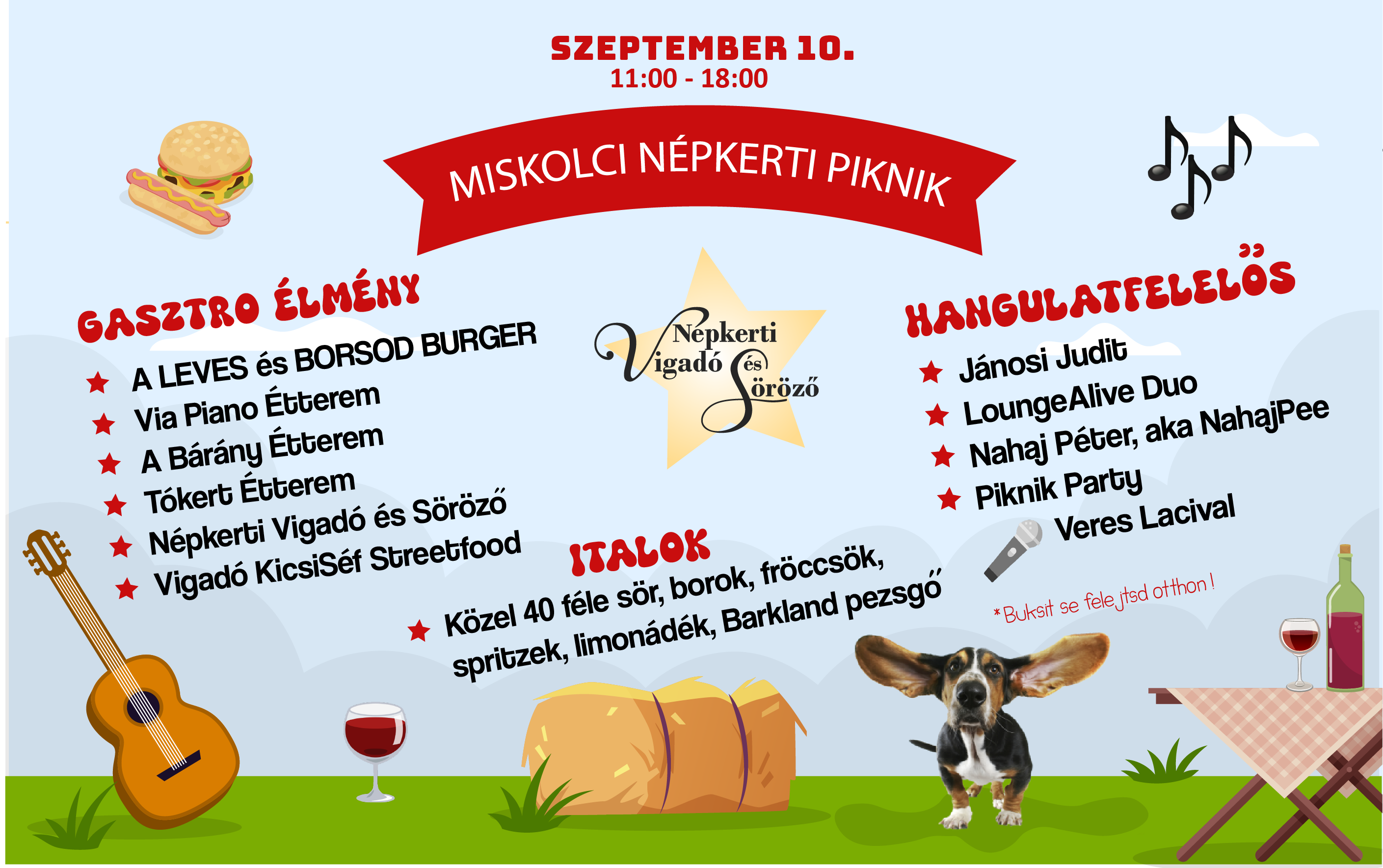 Miskolci Népkerti Piknik-Facebook post